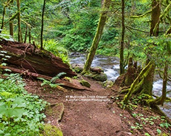 May include: A dirt hiking trail winds through a lush green forest in Oregon, leading towards a flowing creek. A large fallen log lies on the left, and moss-covered trees surround the path. Text reads: #7 Multnomah Creek Oregon A Joyful Creation Photography.