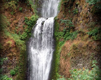 MULTNOMAH FALLS - Oregon - metal print