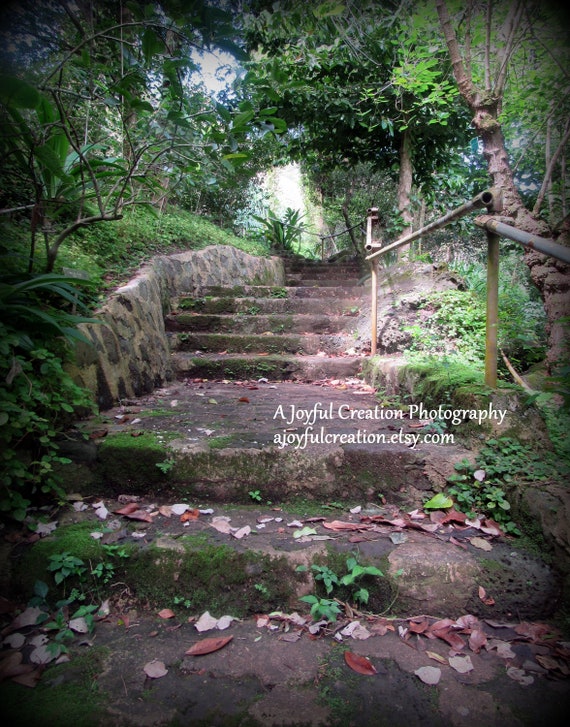 Oahu Hawaii Photograph Hawaii Photo Waimea Valley Etsy