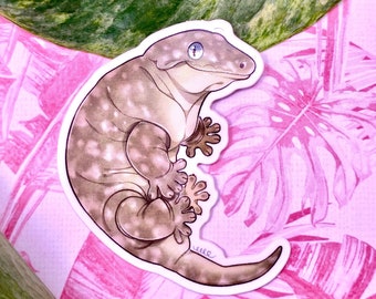 Leachianus Gecko Reptile Vinyl Sticker