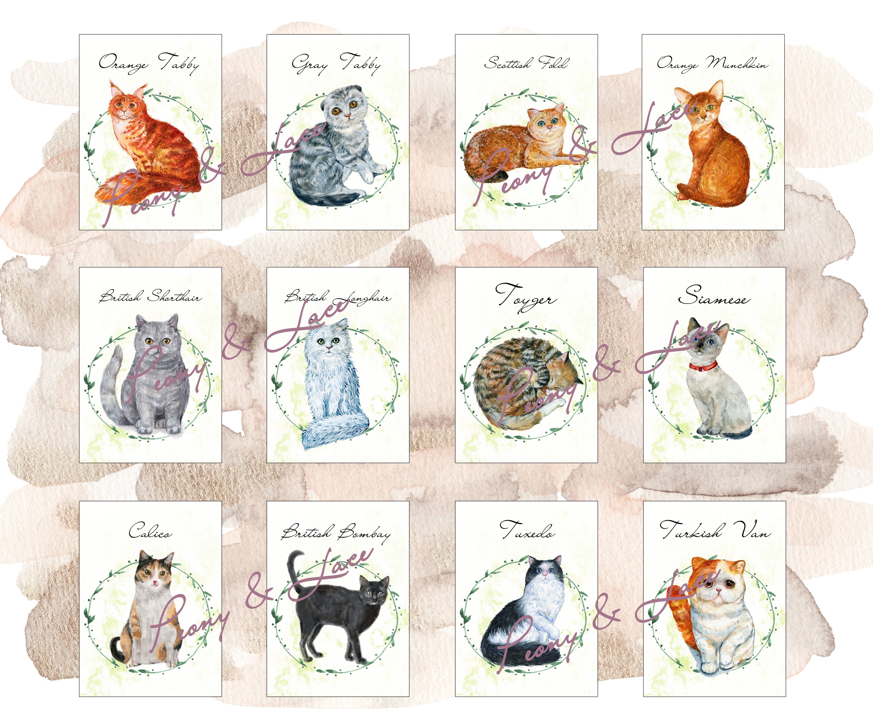 Printable DIY or Printed - 12 Cats Table Sign - Cats Table Number - Pet ...