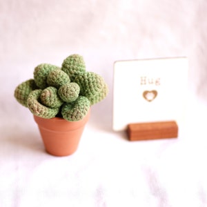 Loss of Pet Sympathy Gift Box with Crochet Succulent Pot and Grief Affirmation Card Set, Bereavement gift, Sympathy gift basket, send a hug image 3