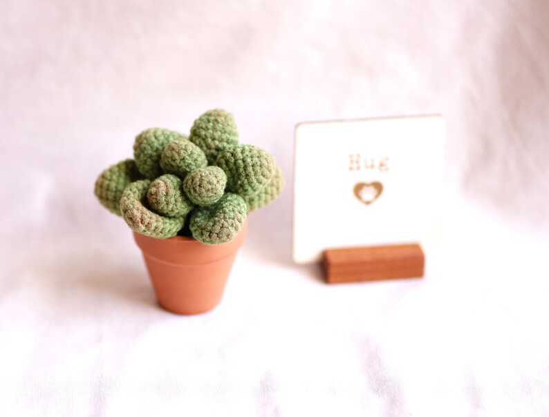 Loss of Pet Sympathy Gift Box with Crochet Succulent Pot and Grief Affirmation Card Set, Bereavement gift, Sympathy gift basket, send a hug image 3