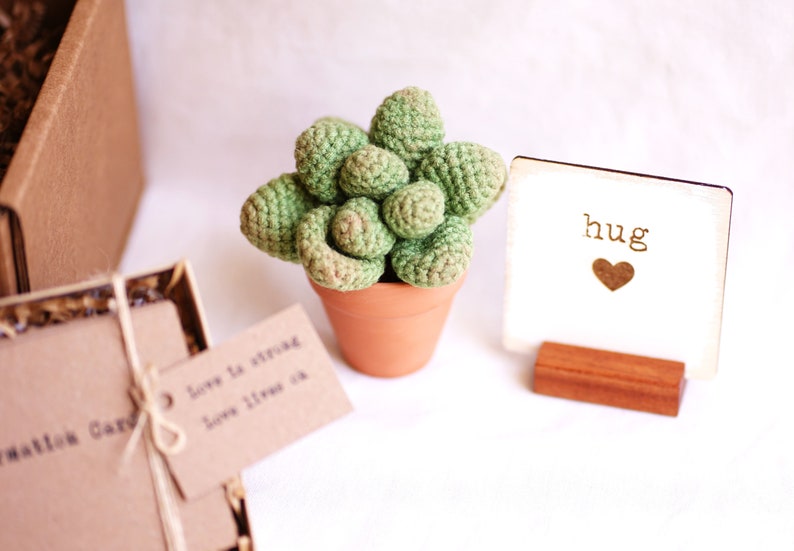 Puede incluir: Una peque&ntilde;a planta suculenta de crochet en una maceta de terracota con un letrero de madera que dice "hug" con un coraz&oacute;n.