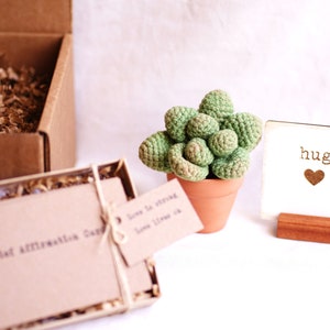 Puede incluir: Una peque&ntilde;a planta suculenta de crochet verde en una maceta de terracota, sentada sobre una superficie blanca. Un letrero de madera con la palabra "hug" y un coraz&oacute;n est&aacute; en el fondo.