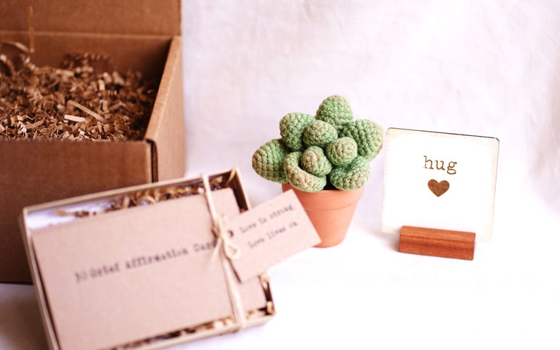 Puede incluir: Una peque&ntilde;a planta suculenta de crochet verde en una maceta de terracota, sentada sobre una superficie blanca. Un letrero de madera con la palabra "hug" y un coraz&oacute;n est&aacute; en el fondo.