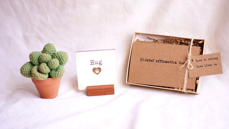 Loss of Pet Sympathy Gift Box with Crochet Succulent Pot and Grief Affirmation Card Set, Bereavement gift, Sympathy gift basket, send a hug image 2