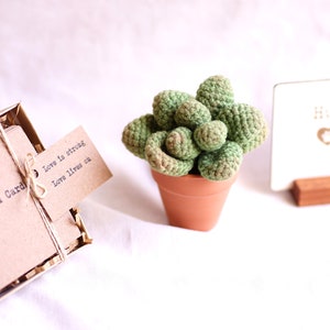 Loss of Pet Sympathy Gift Box with Crochet Succulent Pot and Grief Affirmation Card Set, Bereavement gift, Sympathy gift basket, send a hug image 4