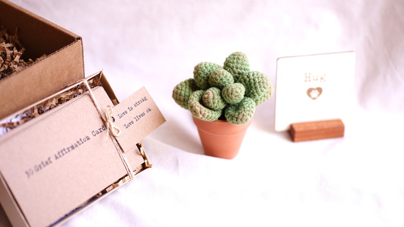 Loss of Pet Sympathy Gift Box with Crochet Succulent Pot and Grief Affirmation Card Set, Bereavement gift, Sympathy gift basket, send a hug image 4