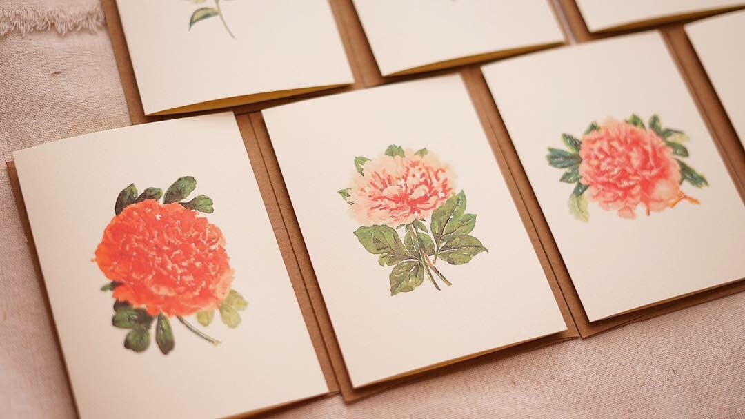 Set of 7 Botanical Greeting Cards - Floral Variety Folded Note Cards ...