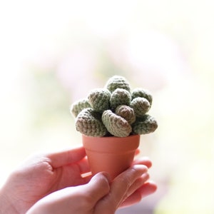 Puede incluir: Una peque&ntilde;a planta suculenta de crochet en una maceta de terracota, sostenida en las manos de una persona.