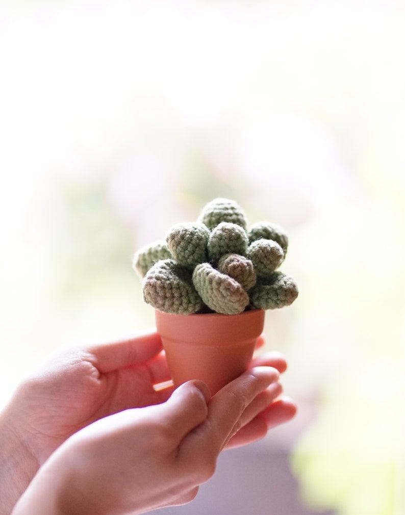 Puede incluir: Una peque&ntilde;a planta suculenta de crochet en una maceta de terracota, sostenida en las manos de una persona.