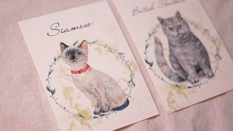 Printable DIY or Printed - 12 Cats Table Sign - Cats Table Number - Pet ...