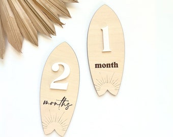 Surfboard Baby Milestone Sign, Monthly Photo Sign, Beach Milestone Sign, Tropical Baby Sign, Interchangeable Monthly Milestone Sign