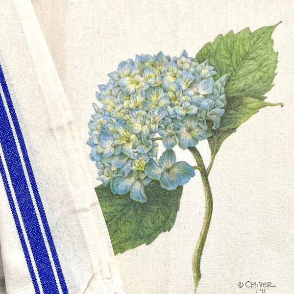 Blue hydrangea cotton kitchen towel with a vintage-style botanical look, blue stripes on the long sides, original artwork by Cheryl Miller