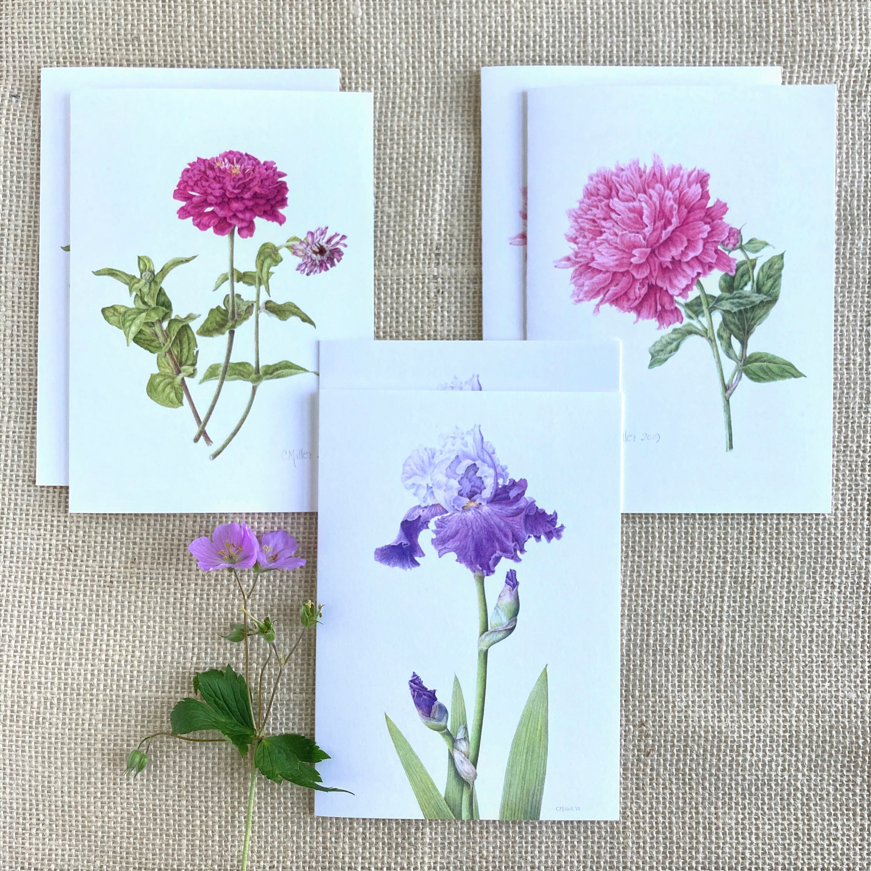 Assorted Package of 6 Blank Greeting Cards With Envelopes Etsy