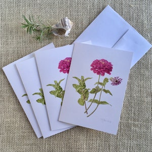 Pink Zinnia &quot;Benary&#39;s Giant&quot; -blank note cards - 5&quot;x7&quot; card - package of 4 note cards - old fashioned garden flower - pink zinnia note cards