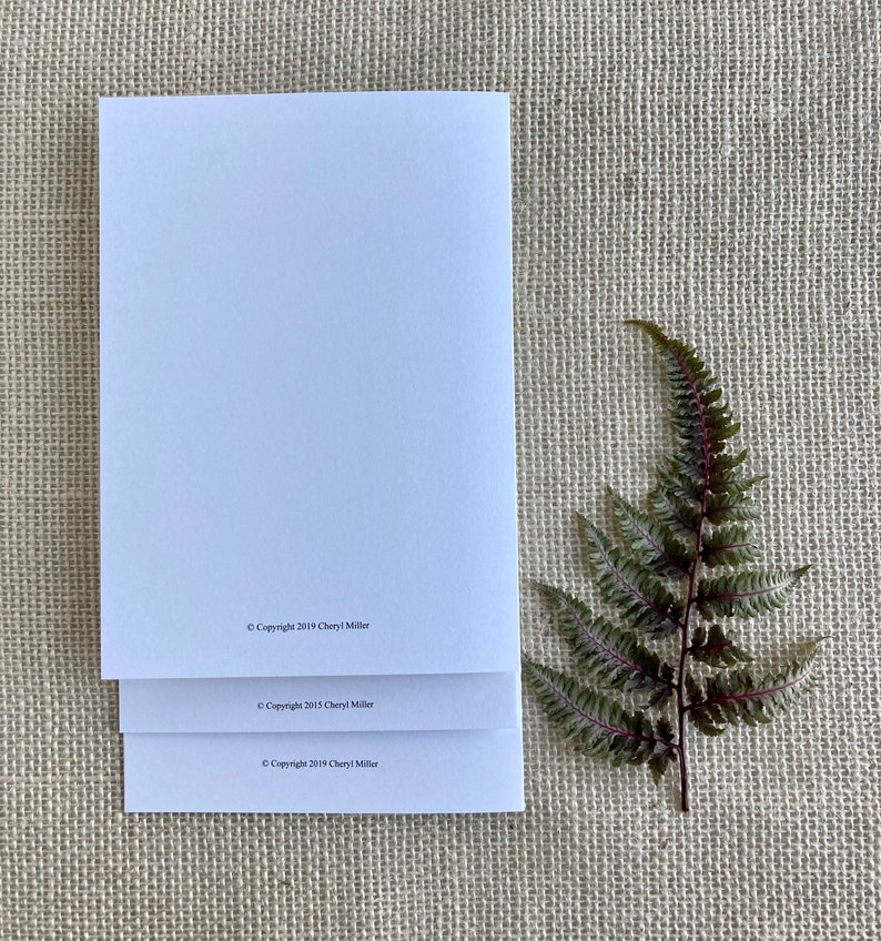 Assorted Package of 6 Blank Greeting Cards With Envelopes Etsy