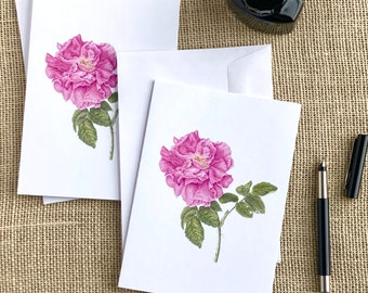 Pink "Apothecary's Rose" note cards-4 blank cards with envelopes-all one design-botanical art-botanical artist-5"x7"-valentine card