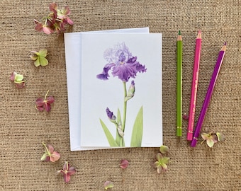 Bearded Iris, botanical note card, 4 blank botanical art note cards with envelopes, 5" x 7", all one design