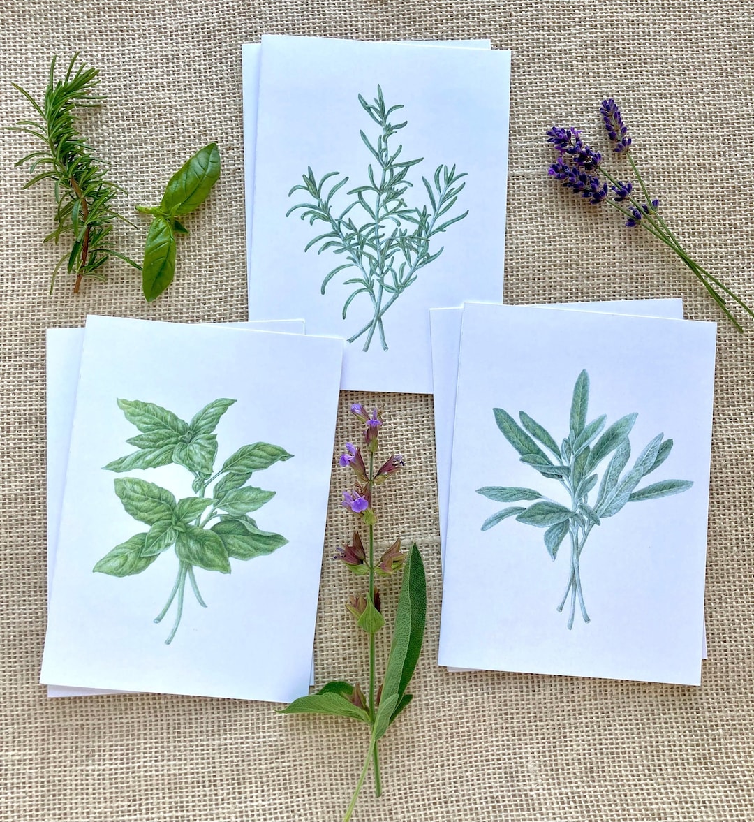 Herb Garden Card Assortment-6 Blank Greeting Cards-2 Each of 3 Designs ...