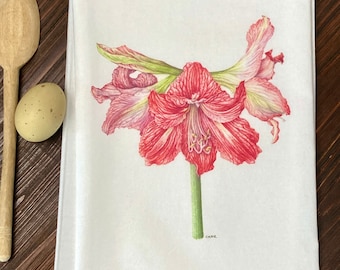 Amaryllis flour sack tea towel-white background-original colored pencil design-botanical-floral tea towel-kitchen decor-Christmas tea towel