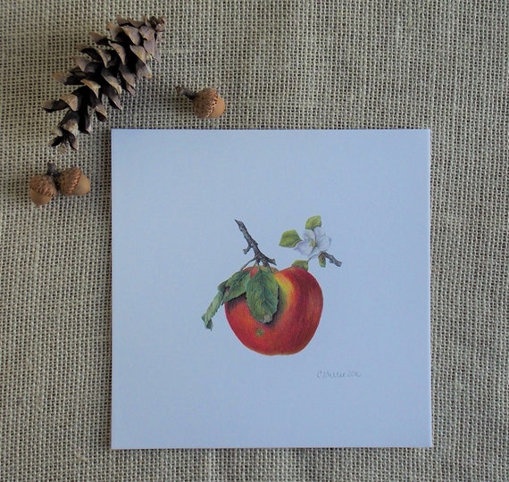 Apple With Blossom - 8