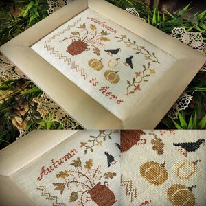 May include: A framed cross-stitch sampler on light beige fabric featuring the text Autumn is here in red. The design includes a brown pitcher with foliage, two black birds, and two pumpkins in shades of orange and yellow, all bordered by a zigzag pattern.