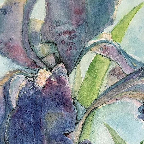 Spring Iris (print) flower botanical art