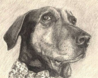 写真から描いた犬の鉛筆画 - 100%手描き。 - Etsy 日本