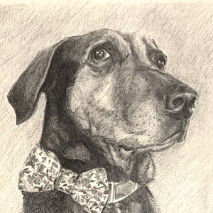 アーティスト DJ Rogers によるウェルシュ コーギー犬の鉛筆画 アーティスト DJ Rogers によるウェルシュ コーギー犬の鉛筆画