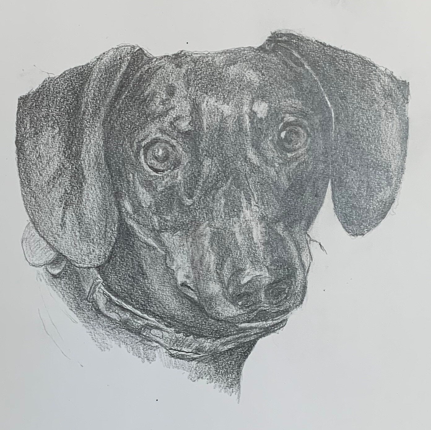 Custom Dog Portrait – Hand Drawn Pencil Sketch, Pet Memorial Art - Etsy