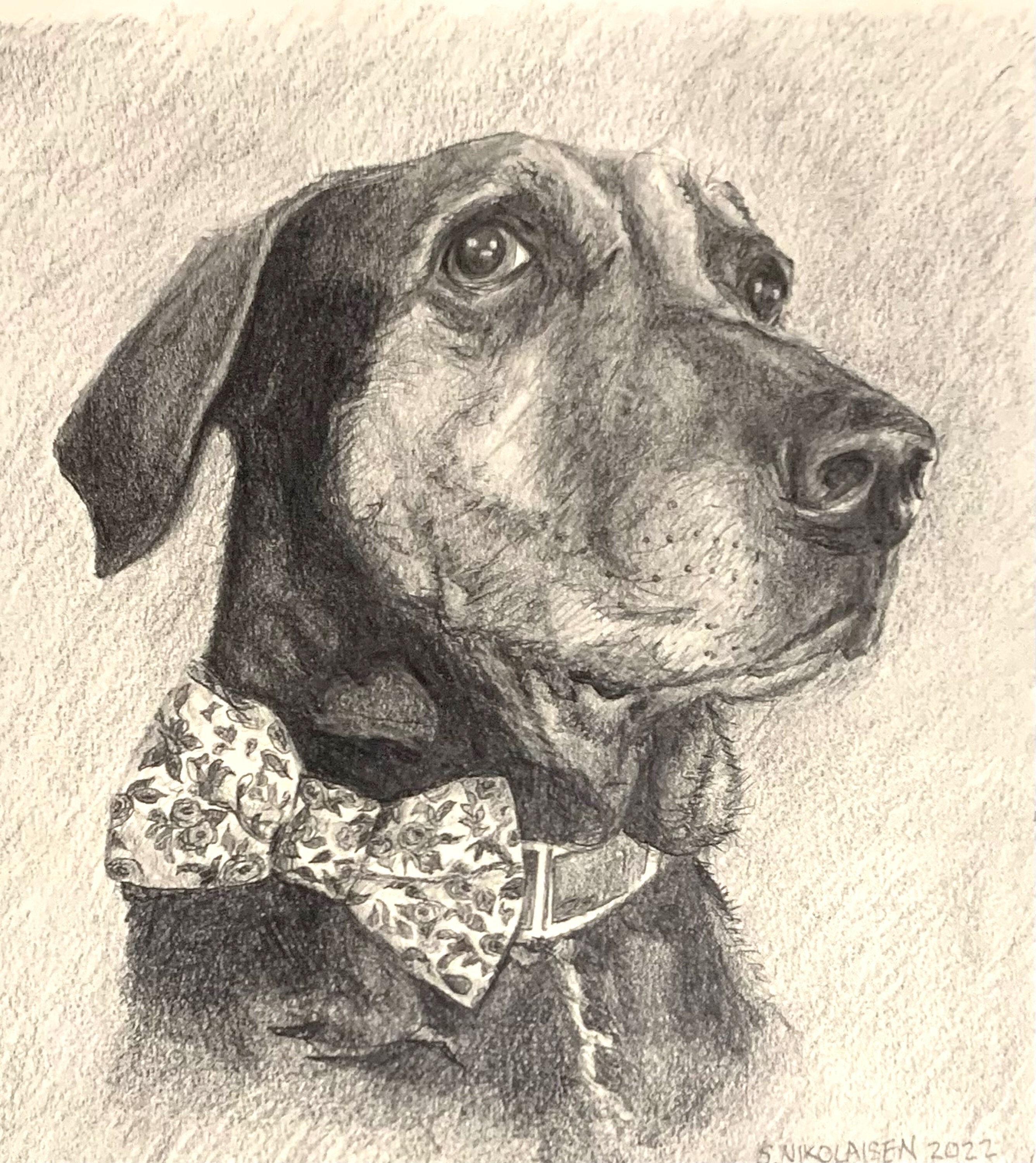 Custom Dog Portrait – Hand Drawn Pencil Sketch, Pet Memorial Art - Etsy