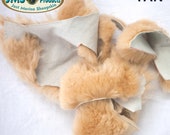 Item from this shop