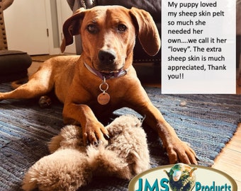 NATURAL Pet Toys: 2 Pieces Real Genuine SHEEPSKIN Wool & Leather Dog Training Aids or Agility Rewards by JMS Products