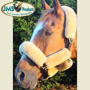 May include: A brown horse wearing a white sheepskin halter with the text "JMS Products Just Merino Sheepskin" on the side.