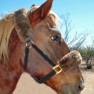 JMS 2 Piece Set Halter Pads Genuine Australian Merino Sheepskin 1 Crown Tube + 1 Noseband Hook/Loop Closure
