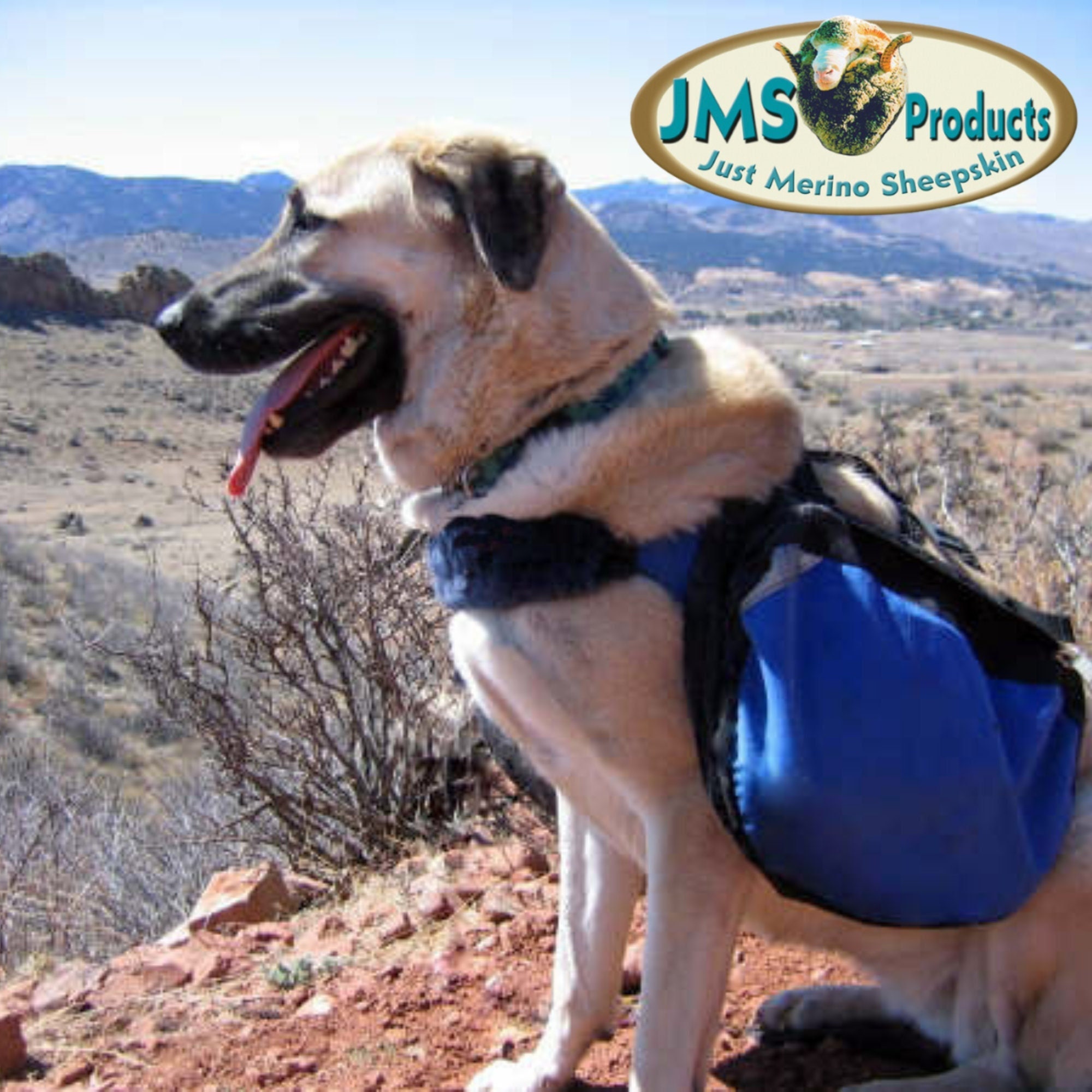 Dog carrying harness hot sale hiking