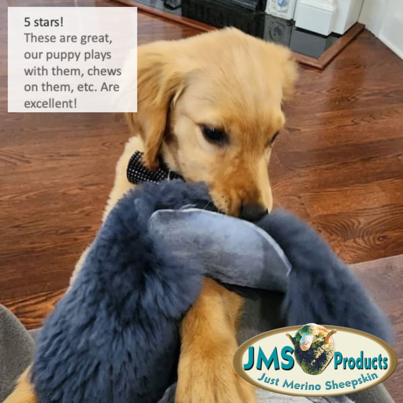 May include: A golden retriever puppy playing with a blue sheepskin toy. The toy is made of soft, natural sheepskin and is designed for dogs to chew and play with. The puppy is biting the toy with its mouth open and its tongue sticking out. The toy is made by JMS Products, Just Merino Sheepskin.