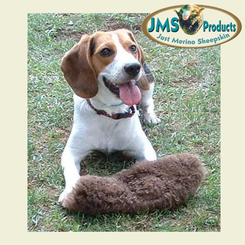 May include: A brown and white beagle dog with a pink tongue sticking out is lying on a brown sheepskin rug. The dog is looking at the camera. The rug is on a green grassy surface. The text "JMS Products Just Merino Sheepskin" is visible in the upper right corner of the image.