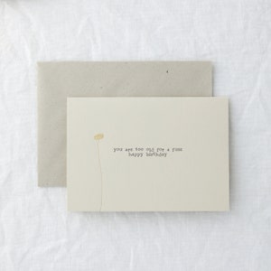 You are too old for a fuss - Funny Rude Happy Birthday Greeting Card
