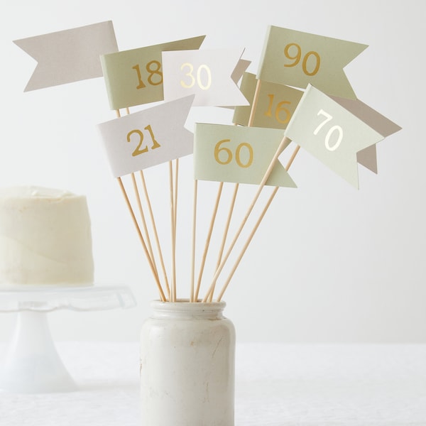 Eco-friendly Birthday Flag Cake Topper Age Banner Card Neutral Pink Green