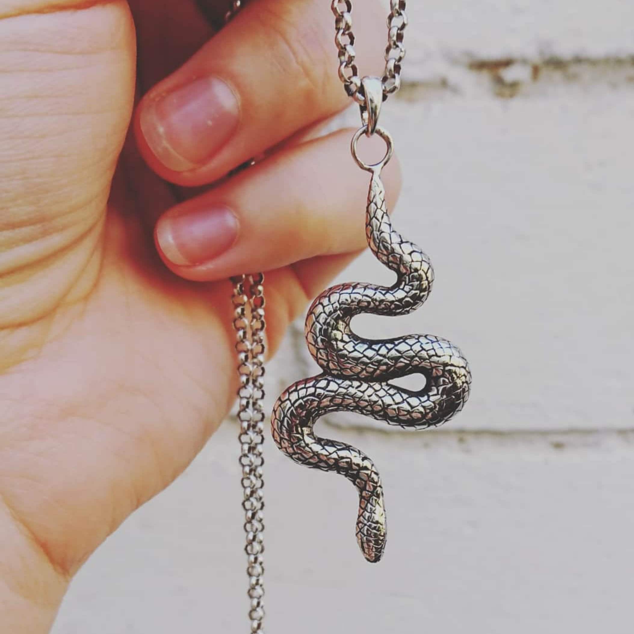 Snake Silver Snake Necklace - Etsy