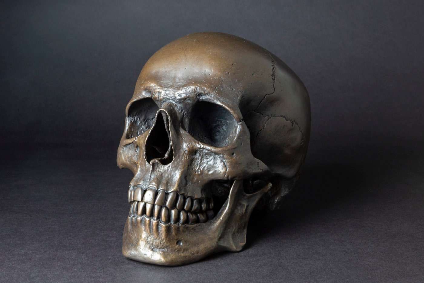1/6 Scale Realistic Human Skull 