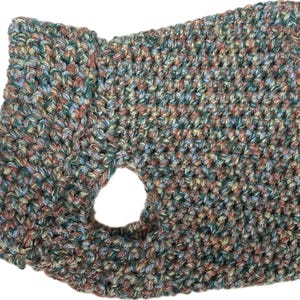 Spring Tweed Dog Sweater Crochet Pattern PDF DIGITAL DOWNLOAD