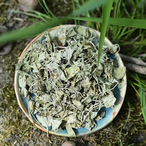Gotu Kola Organic | Centella Asiatica | Herb of Enlightenment | Elixir of Life | Tiger Grass