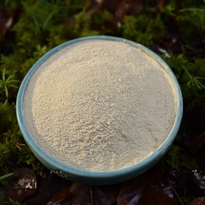May include: A light blue ceramic bowl filled with a beige powder, sitting on a bed of green moss and brown leaves.