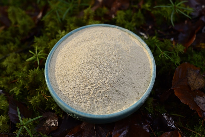 May include: A light blue ceramic bowl filled with a beige powder, sitting on a bed of green moss and brown leaves.