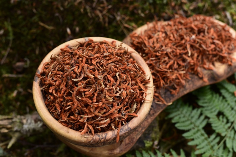 Wild Dagga Klip Dagga Wild Harvest Pure Petals, Resin Extract Powder x100 Lion's Tail Leonotis Nepetifolia Leonotis Leonurus imagem 2