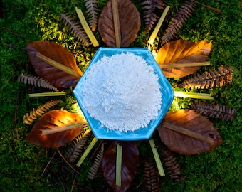 Organic Mucuna Pruriens Powder | Velvet Bean | Pure Motivation | L-Dopa | Natural Dopamine Booster from Mexico - Dream Herbs Temple